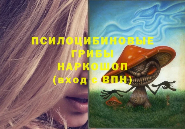 соль ск Медвежьегорск