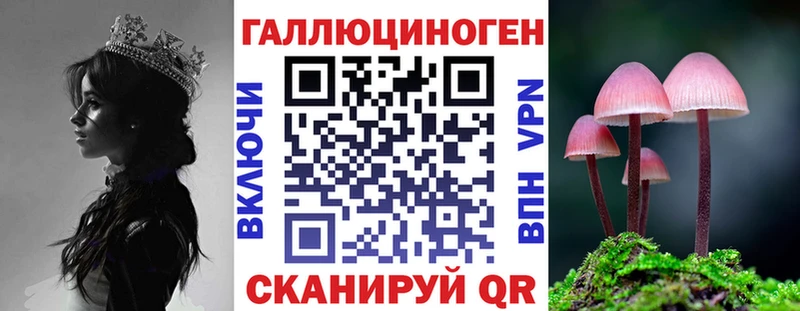Псилоцибиновые грибы Cubensis даркнет сайт мориарти формула Старая Купавна